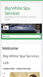 Mobile Screenshot of bigwhitespaservices.com